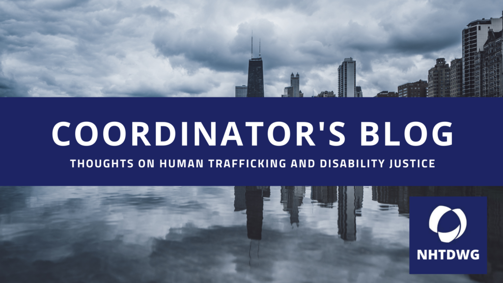 Grey image of Chicago skyline, with the text Coordinator's Blog, thoughts about human trafficking and disability justice, and a NHTDWG blue and white logo